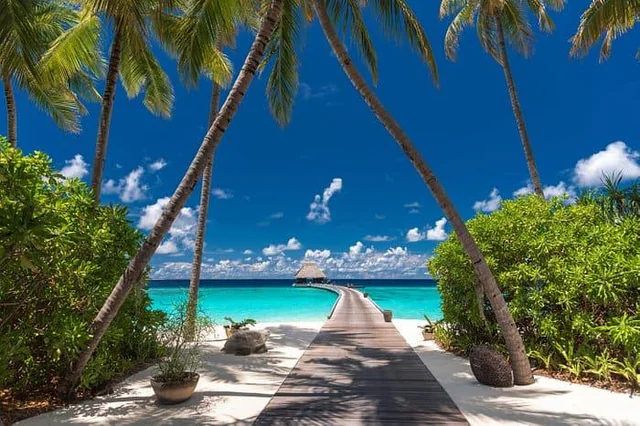 Beach Villa
